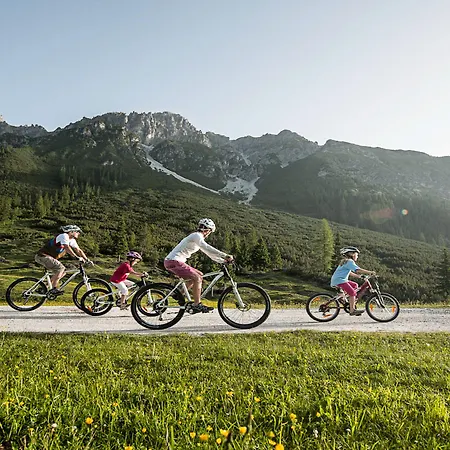 Living & Vitalhotel Edelweiss Neustift im Stubaital