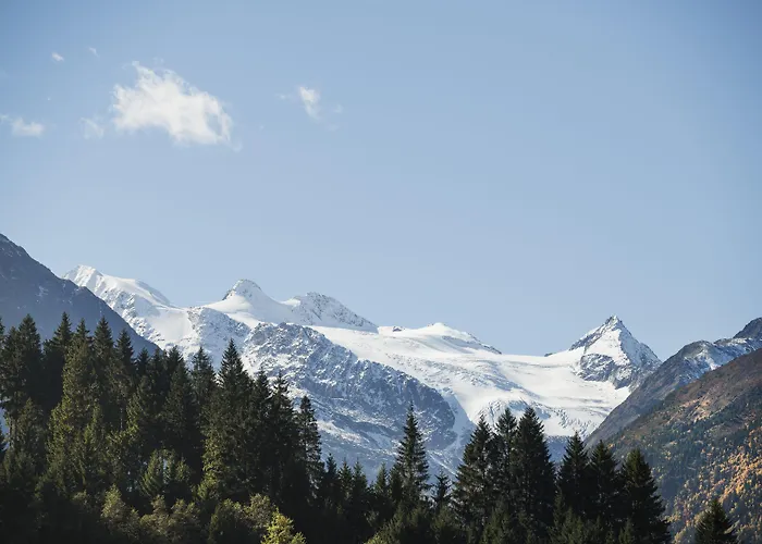 Living & Vitalhotel Edelweiss 호텔 4*